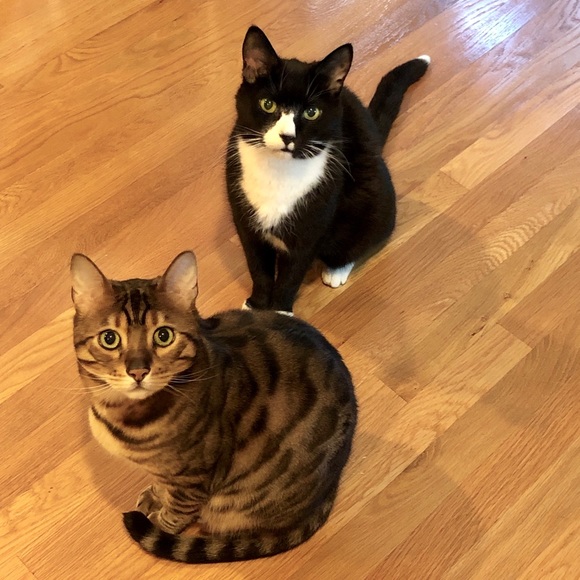 COMMENTS FULL! - Picture 8 of 8